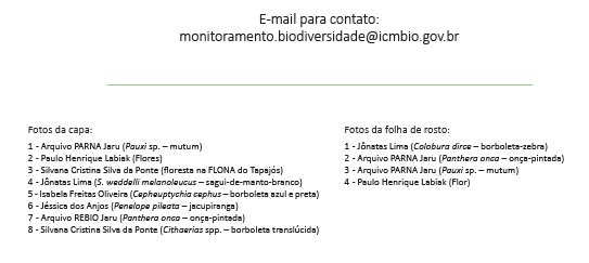 painel do relatorio