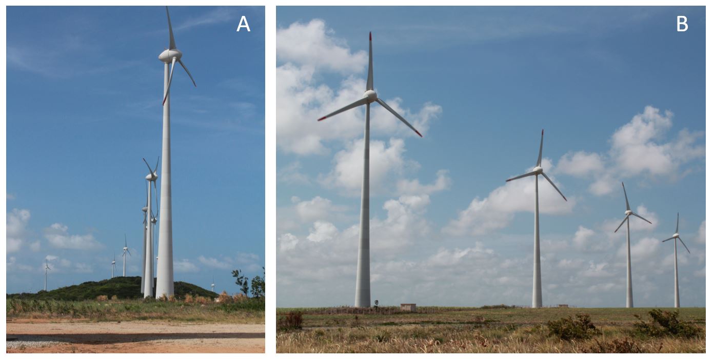 Exemplos de alinhamentos de aerogeradores, Parque Eólico na Paraíba. Foto: Andrei L. Roos