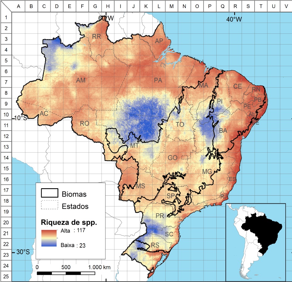 Riqueza potencial de espécies de morcegos modelada para o Brasil.